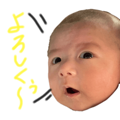 shiho_20230619121520