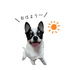 peco_20230619123527