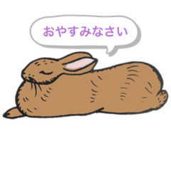 flower rabbit_20230618205843