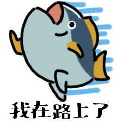 可愛會動的金槍魚（台灣）