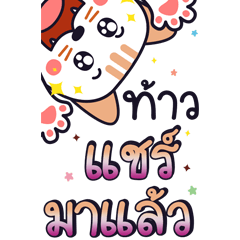 Cat Share House Big Stickers