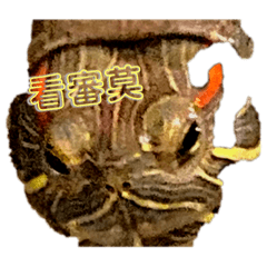 烏龜很可愛123456789101112131456789012374