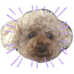 arisa_20230620023815