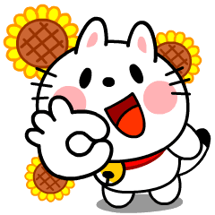 Summer Cute Funny Cat Animation