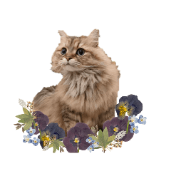 mimi mama_20230619175711