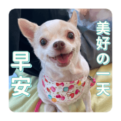 最可愛的小花 ✿