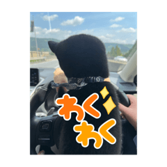 sakura_20230620003533