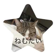 yuka_20230619204453
