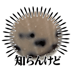 yun_20230619145137