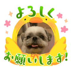 Puku_20230620110159
