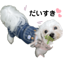 omochi_20230620114400