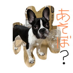 bouBUHI stamp