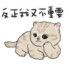Oba cat8 - cream ginger cat