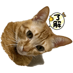 saori_20230619210247