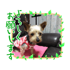 hana_20230620154505