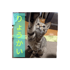 nao_20230620163205