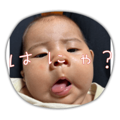 aoi_20230620142627
