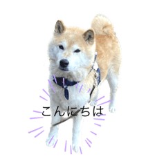 suzu_20230620164107