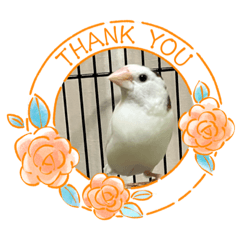 SAYURI_20230620164851