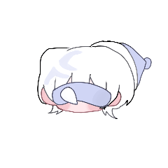 night zz
