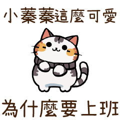Cat Guide2little zhen zhen58
