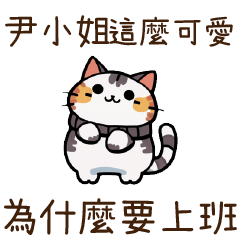 Cat Guide2Miss Yin81