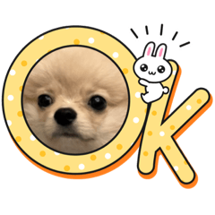 可愛小寶第二彈