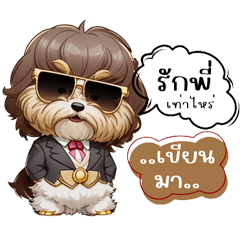 cute tiny dog breed mafia boss