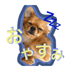 Konatsu_20230620180358