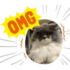 sakura_20230620191745