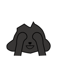 BlackPoodle-Cover face with hands smile