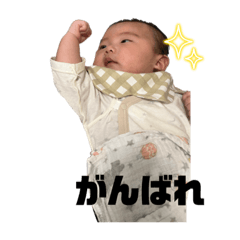 sota0311ver.2