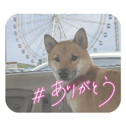 manami kuroishi_20230620193903