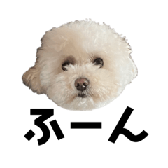 natsumi_20230621112737