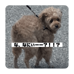 hana_20230621113729