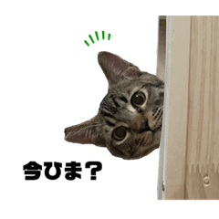 Arisa_20230621130357