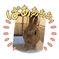 arisu no kimochi