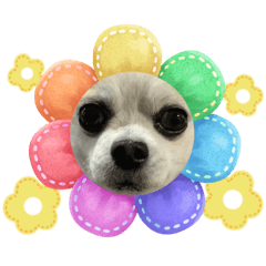 Lun_20230620233944