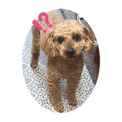 nozomi_20230621125053