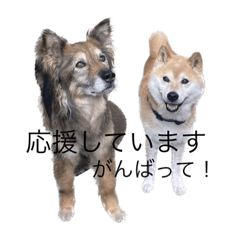 suzu_20230621152402