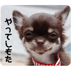 yuka_20230621150605