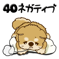 柴犬・ちゃちゃ丸 40『ネガティブ』