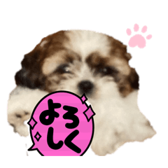 sayuri_20230621151936