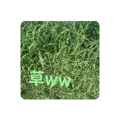 kana_20230621165023