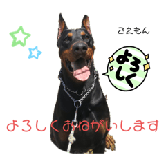 OMOCHI_20230622085946