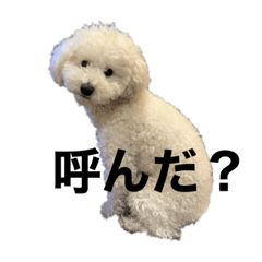 TENMUNI_20230621193106