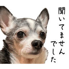 Mikos_20230621203502