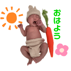 sakun stamp