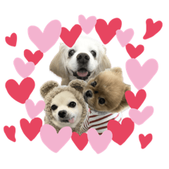 nozomi_20230622003700