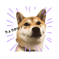 natsumi_20230621175459